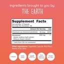 happy-healthy-hippie-lighten-up-weightlo-6.jpg