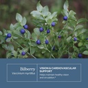 eclectic-herb-organic-bilberry-liquid-he-3.jpg