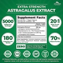 zazzee-extra-strength-astragalus-root-an-2.jpg