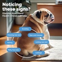 vetnique-glandex-probiotics-for-dogs-adv-4.jpg