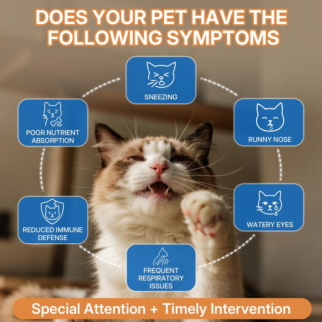 l-lysine-supplement-for-cats-immune-supp-3.jpg