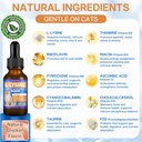 l-lysine-supplement-for-cats-immune-supp-4.jpg