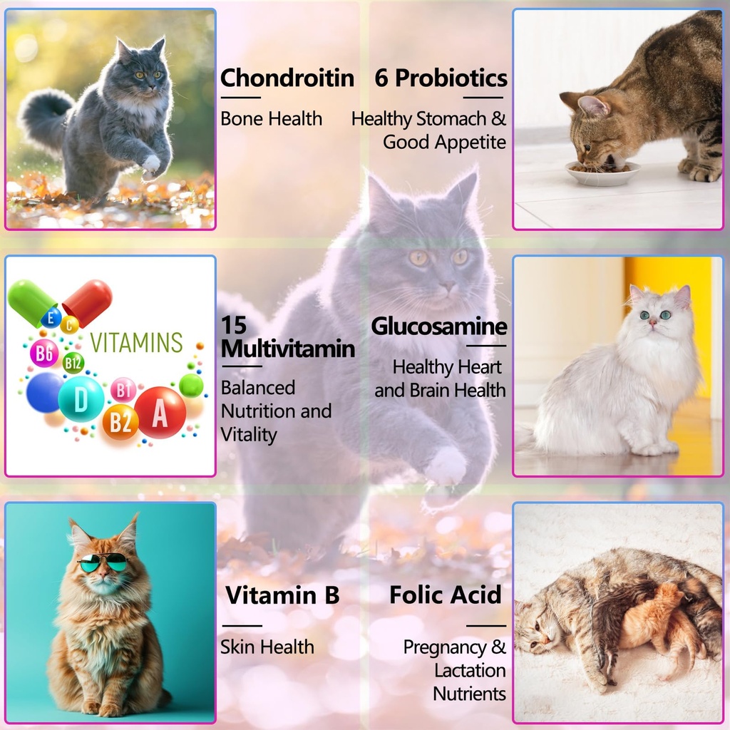 cat-vitamins-15-in-1-cat-multivitamin-li-6.jpg