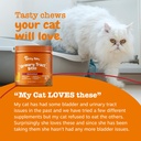 zesty-paws-cranberry-urinary-tract-bites-6.jpg