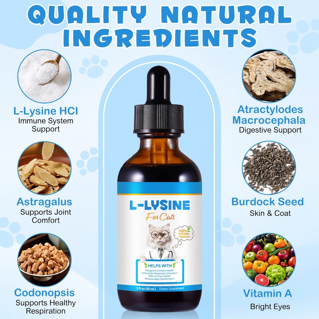 lysine-for-cats-supplement-immune-system-4.jpg