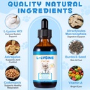 lysine-for-cats-supplement-immune-system-4.jpg