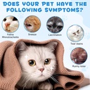 lysine-for-cats-supplement-immune-system-6.jpg
