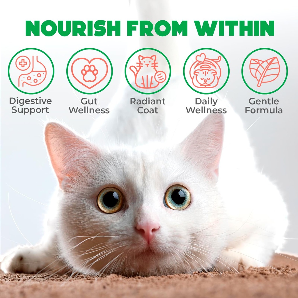 probiotics-for-cats-chews-500pcs-digesti-2.jpg