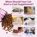 omega-3-for-cats-skin-coat-support-500-c-6.jpg