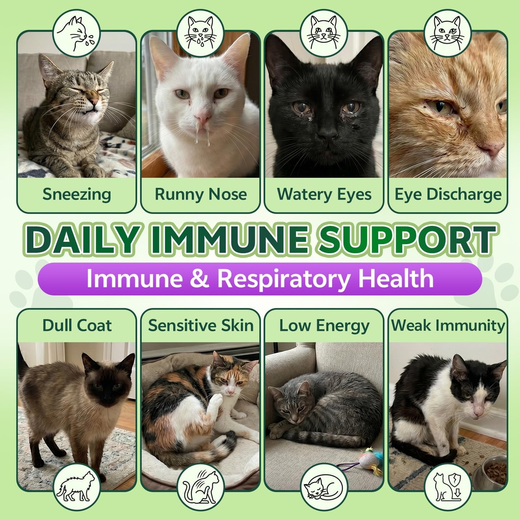lysine-for-cats-l-lysine-for-cats-chews--2.jpg