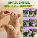 lysine-for-cats-l-lysine-for-cats-chews--4.jpg