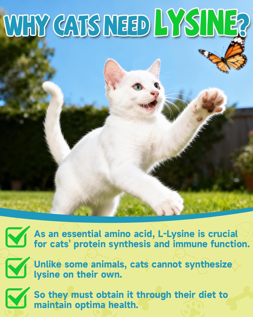 l-lysine-for-cats-lysine-cat-sneezing-co-2.jpg