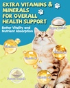 l-lysine-for-cats-lysine-cat-sneezing-co-6.jpg