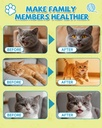 l-lysine-for-cats-lysine-cat-sneezing-co-4.jpg