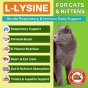 lysine-for-cats-l-lysine-for-cats-drops--2.jpg