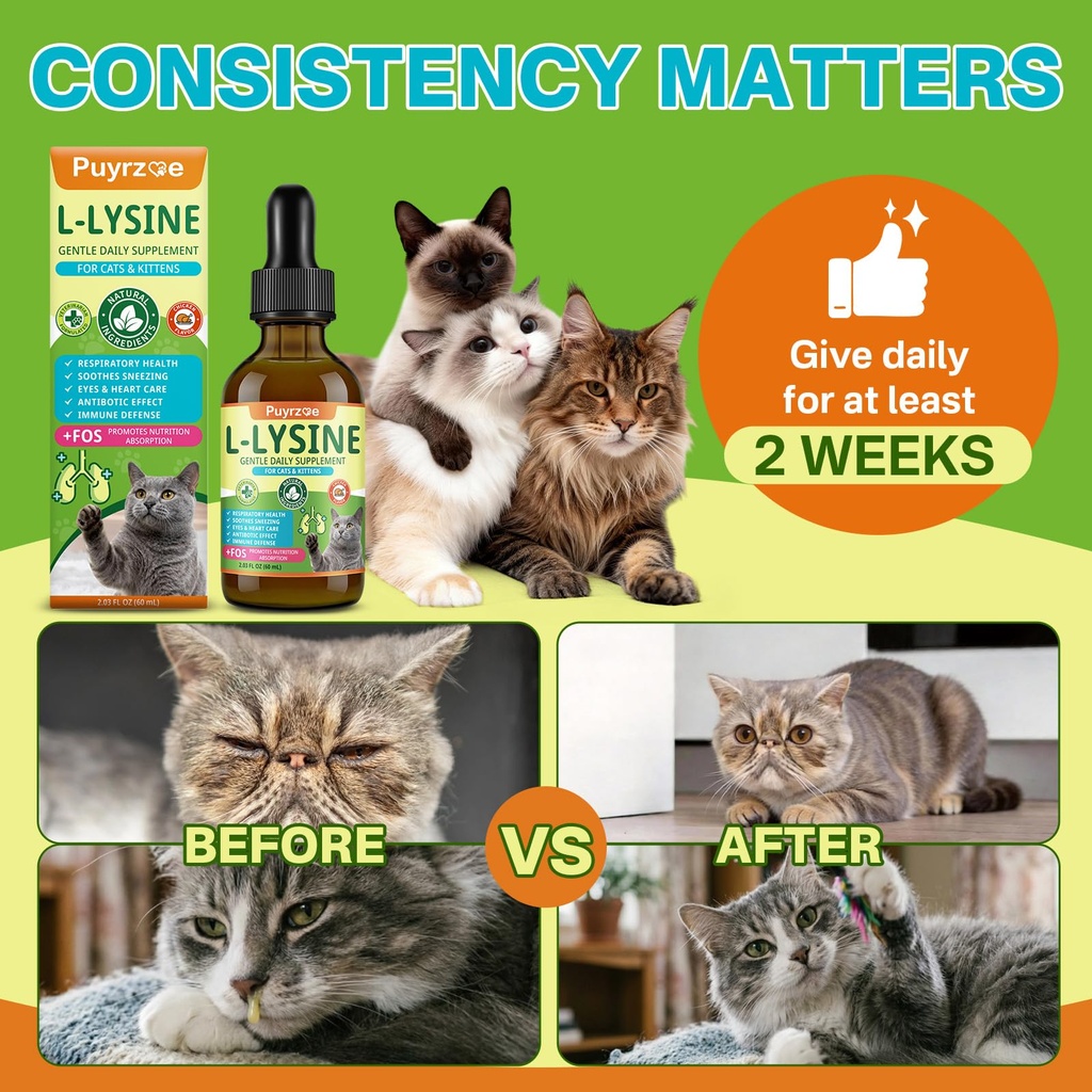 lysine-for-cats-l-lysine-for-cats-drops--5.jpg