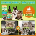 lysine-for-cats-l-lysine-for-cats-drops--5.jpg