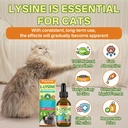 lysine-for-cats-l-lysine-for-cats-drops--6.jpg