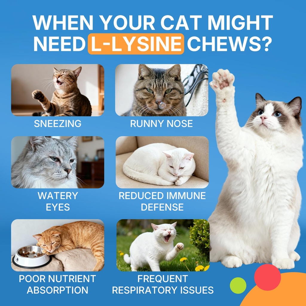 lysine-for-cats-l-lysine-for-cats-chews--5.jpg