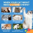 lysine-for-cats-l-lysine-for-cats-chews--5.jpg