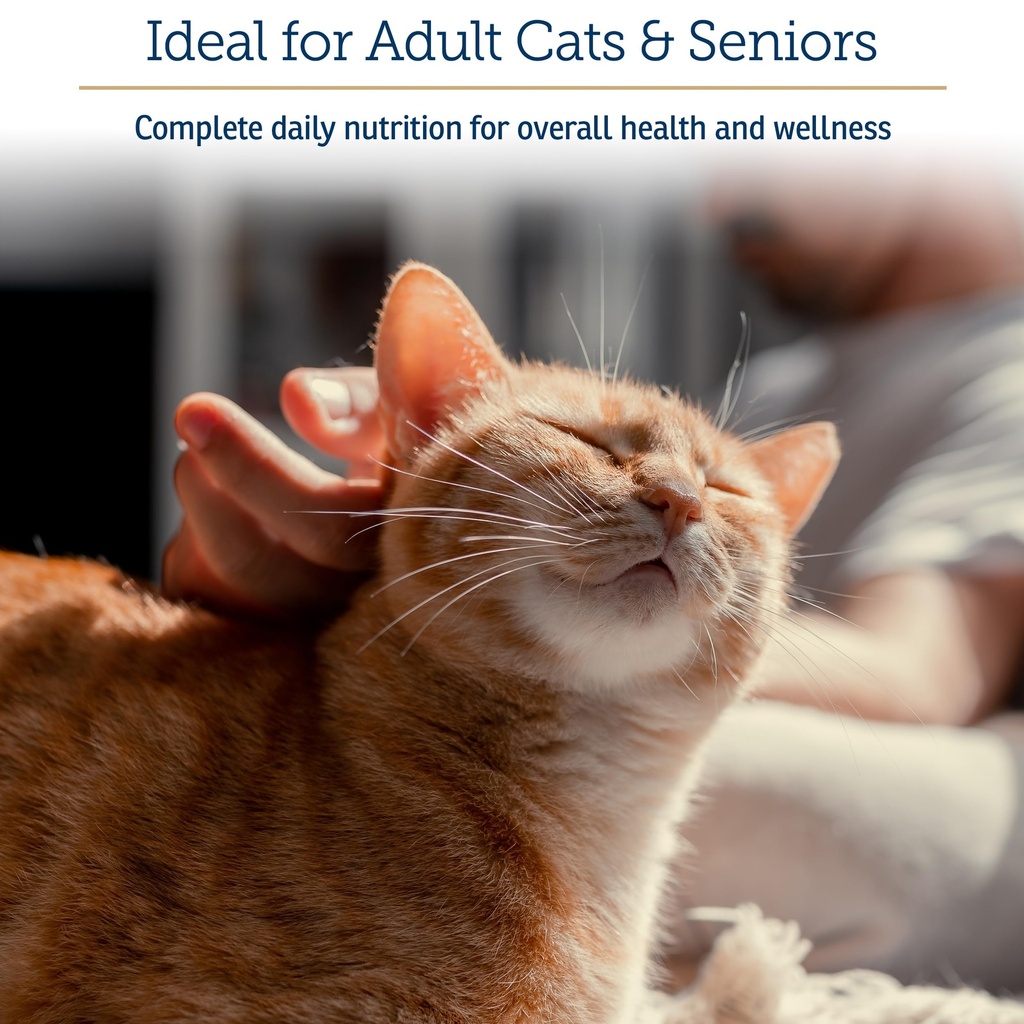 rx-vitamins-essentials-for-cats-cat-mult-5.jpg
