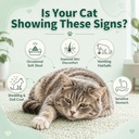 cat-probiotic-chews-for-digestive-gut-su-3.jpg