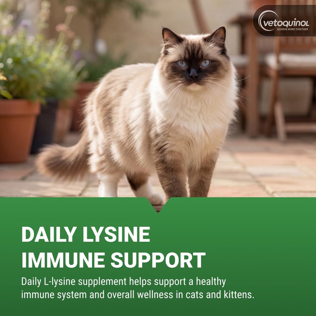 vetoquinol-enisyl-f-lysine-bites-l-lysin-2.jpg