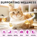cat-multivitamin-chews-15-in-1-multivita-2.jpg