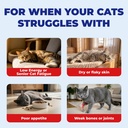 wellix-26-in-1-taurine-for-cats-multivit-3.jpg