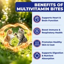 wellix-26-in-1-taurine-for-cats-multivit-4.jpg
