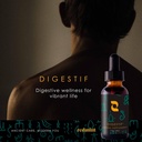 herbal-tincture-digestif-herbal-suppleme-2.jpg