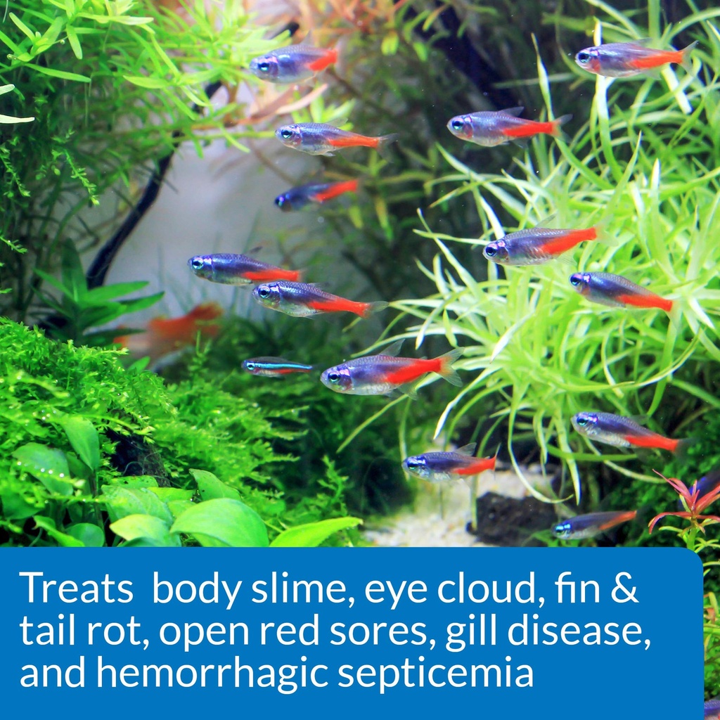 api-fin-body-cure-freshwater-fish-powder-4.jpg