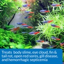 api-fin-body-cure-freshwater-fish-powder-4.jpg