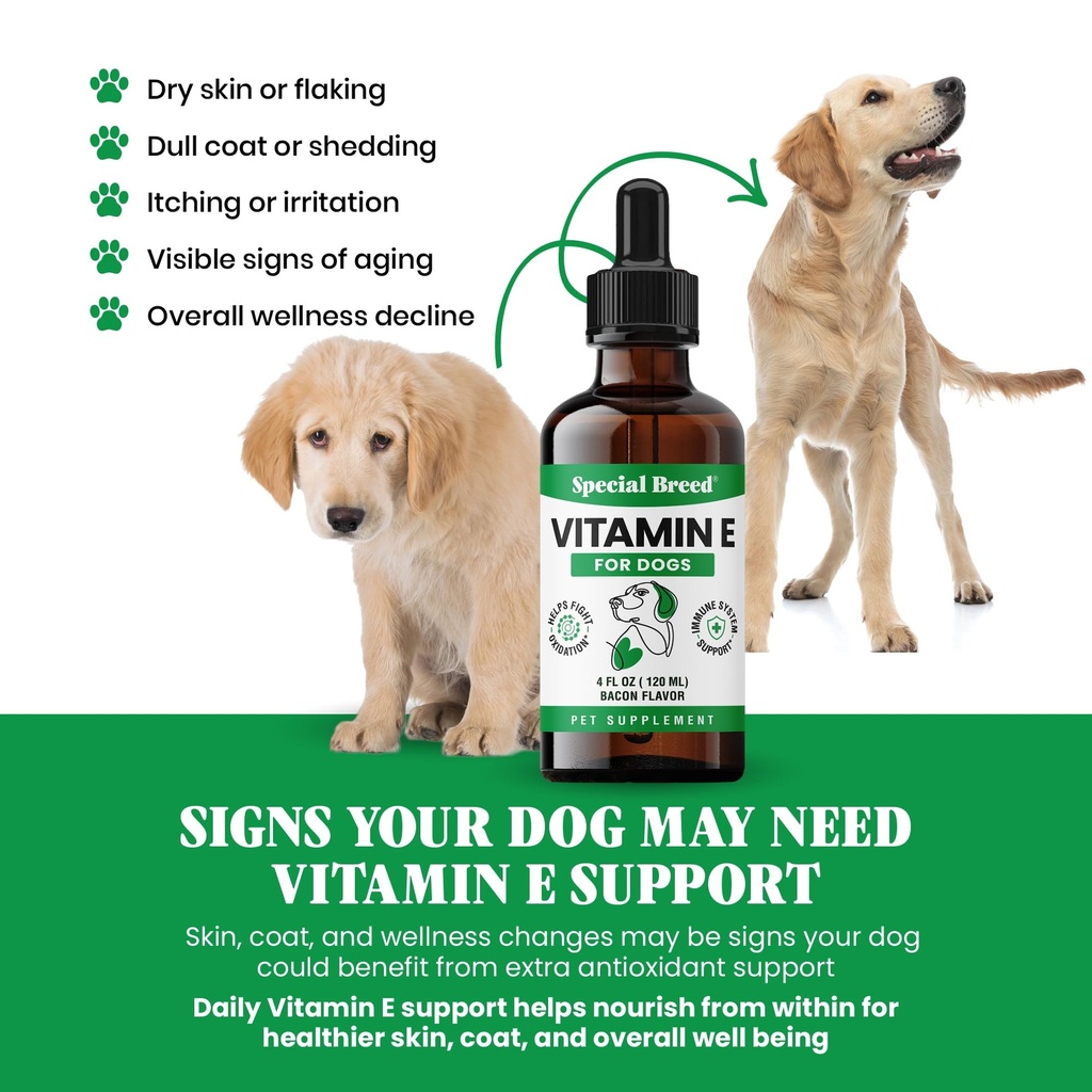 vitamin-e-for-dogs-liquid-250-iu-vitamin-5.jpg