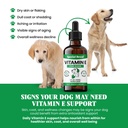 vitamin-e-for-dogs-liquid-250-iu-vitamin-5.jpg
