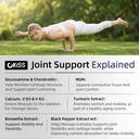 okiss-glucosamine-chondroitin-msm-joint--3.jpg