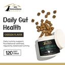 k9-innovations-daily-gut-health-chicken--3.jpg