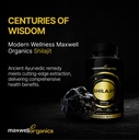 shilajit-capsules-500mg-himalayan-shilaj-6.jpg