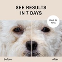 eye-envy-dog-tear-stain-remover-starter--5.jpg