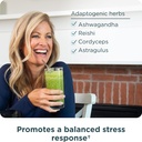 ancient-nutrition-super-greens-powder-or-5.jpg