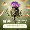 snap-supplements-liver-health-organic-sp-4.jpg