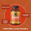 pure-lab-vitamins-corn-free-vitamin-c-10-3.jpg