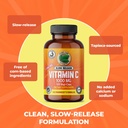 pure-lab-vitamins-slow-release-corn-free-3.jpg