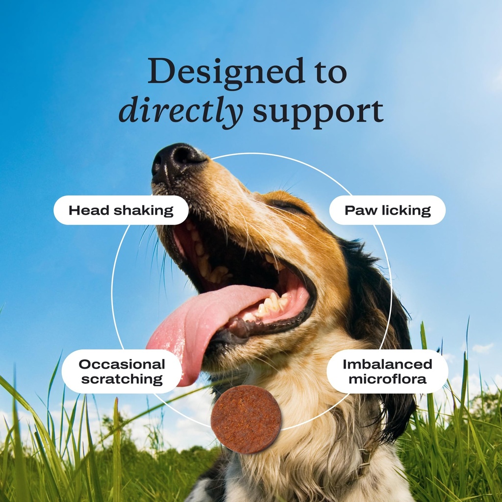 petlab-co-allergy-immune-probiotic-chews-3.jpg