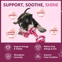 drfoster-probiotics-for-dogs-6-billion-c-4.jpg