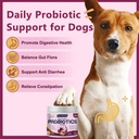 drfoster-probiotics-for-dogs-6-billion-c-2.jpg