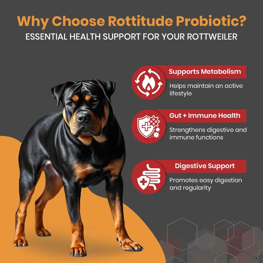 probiotics-for-dogs-natural-dog-probioti-2.jpg