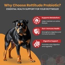 probiotics-for-dogs-natural-dog-probioti-2.jpg