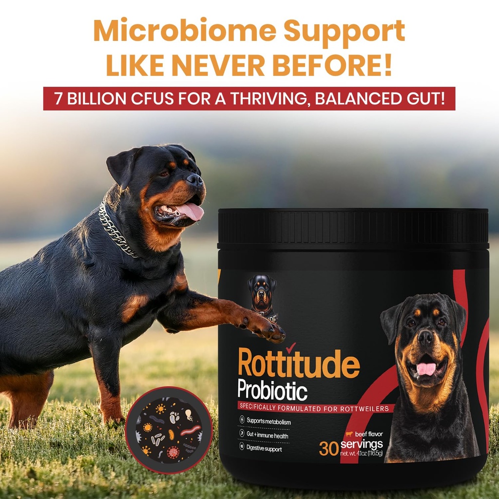 probiotics-for-dogs-natural-dog-probioti-6.jpg
