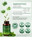 chlorophyll-capsules-for-deodorant-body--3.jpg